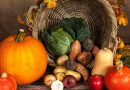 pumpkin, vegetables, autumn